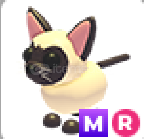 adopt me-mr siamese cat adopt me-mr siamese cat
