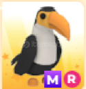 adopt me-mr toucan