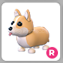 Adopt Me R Corgi