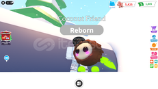 Adopt Me Neon Coconut Friend