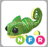 ADOPT ME NEON FLY RİDE CHAMELON
