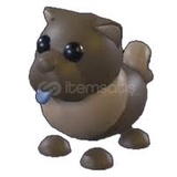 ADOPT ME NEON FLY RİDE CHOCOLATE CHOW-CHOW