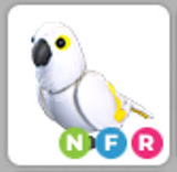 ADOPT ME NEON FLY RİDE WHİTE AMAZON