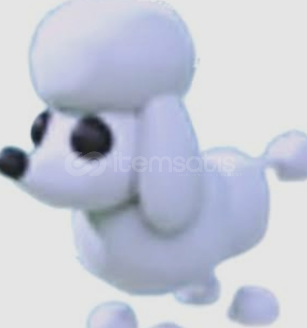 ADOPT ME NEON POODLE (NO POTİON) ADOPT ME NEON POODLE (NO POTİON)