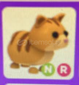 ADOPT ME NEON RİDE GİNGER CAT
