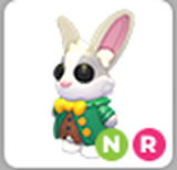 Adopt Me Neon Ride Mr Whiskerpips
