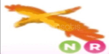 ADOPT ME NEON RİDE PHOENİX