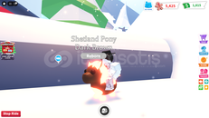 Adopt Me Neon Ride Shetland Pony 