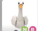 ADOPT ME NEON RİDE SWAN