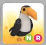 ADOPT ME NEON RİDE TOUCAN