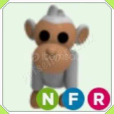 ADOPT ME NFR ALBINO MONKEY