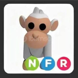 ADOPT ME NFR ALBİNO MONKEY