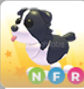 adopt me-nfr border collie