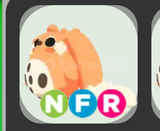 Adopt Me NFR Cabbit