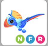 Adopt Me NFR Dimorphodon