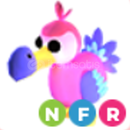Adopt Me - NFR Dodo Adopt Me - NFR Dodo