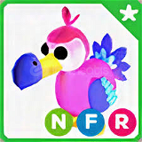 Adopt Me NFR Dodo