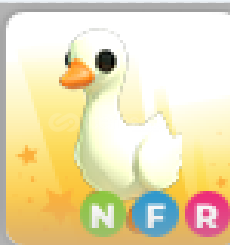 adopt me-nfr goose adopt me-nfr goose