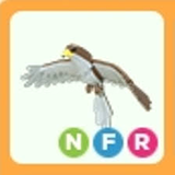 Adopt me Nfr hawk