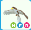 adopt me-nfr hawk