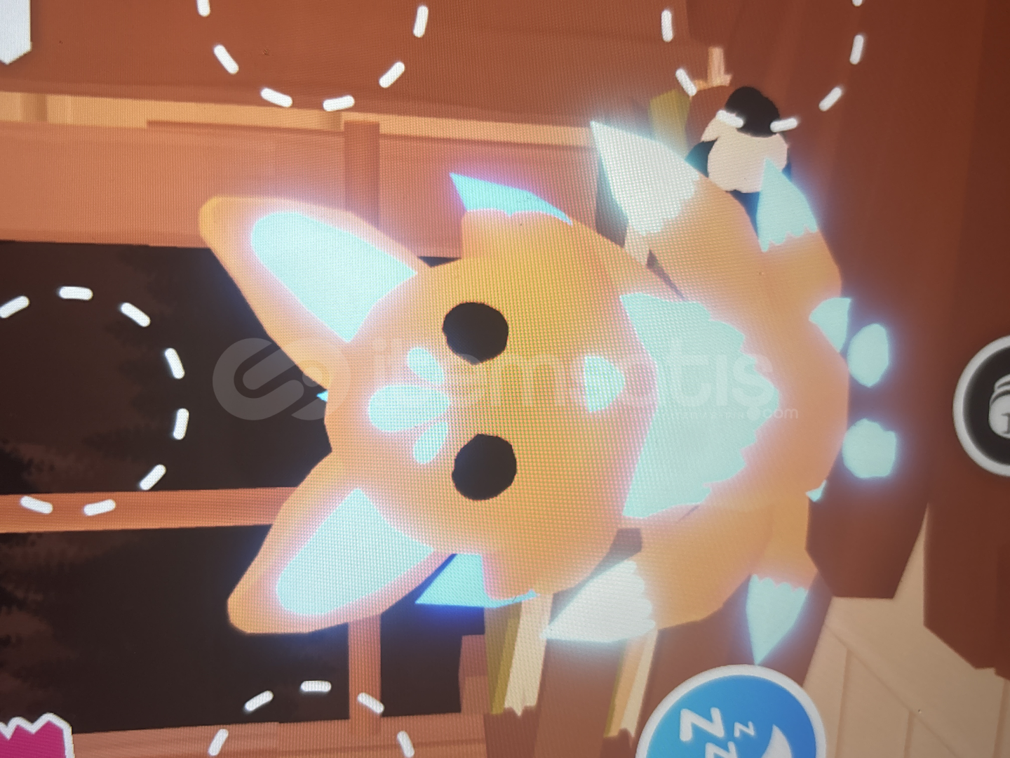 Adopt me nfr kitsune Adopt me nfr kitsune