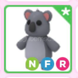 Adopt Me NFR Koala ⭐EN UYGUN⭐