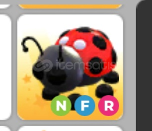 adopt me-NFR LADYBUG adopt me-NFR LADYBUG