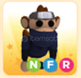 ADOPT ME NFR NİNJA MONKEY