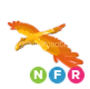 ADOPT ME NFR PHOENİX