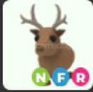 adopt me -nfr reinder 