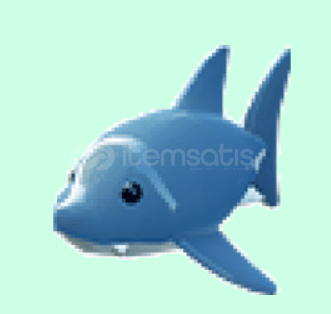 adopt me NFR shark  adopt me NFR shark