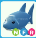 adopt me-nfr shark