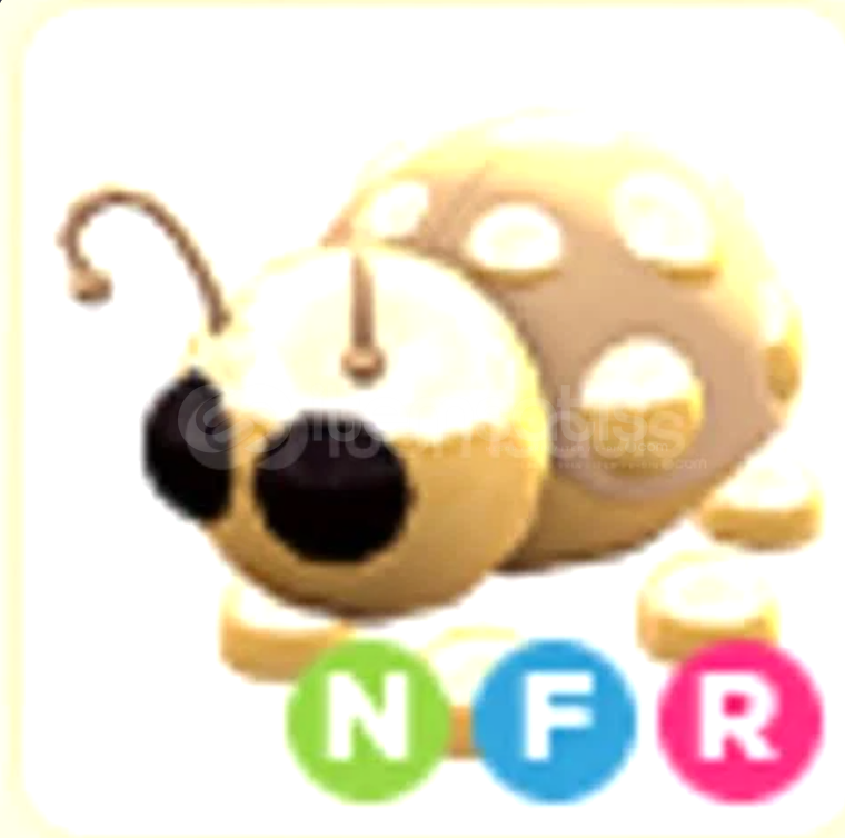 adopt me-nfr golden laygud adopt me-nfr golden laygud