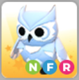 Adopt Me NFR Snow Owl