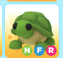 Adopt me Nfr turtle 