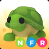 ⭐ Adopt Me / NFR Turtle ⭐