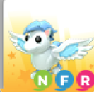 adopt me nfr winged horse adopt me nfr winged horse