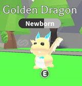 Adopt Me No Pot Golden Dragon