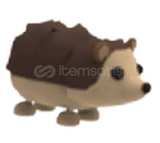 ADOPT ME NO POT HEDGEHOG PİYASANIN EN UCUZU