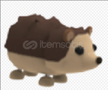 ADOPT ME NO POT HEDGEHOG SITEDE TEK EN UCUZU! ADOPT ME NO POT HEDGEHOG SITEDE TEK EN UCUZU!