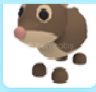 adopt me-no pot shrew