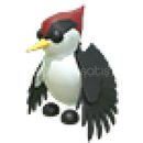 adopt me nr adopt me nr