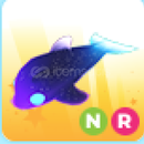 adopt me- nr glor dolpin adopt me- nr glor dolpin