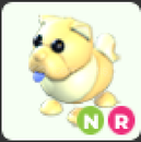 adopt me nr-Golden Chow-Chow