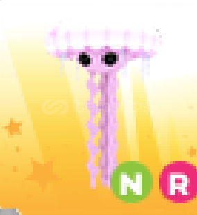 adopt me - nr jellyfish adopt me - nr jellyfish