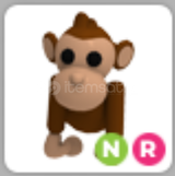 Adopt Me NR Monkey