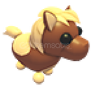 adopt me nr pony adopt me nr pony