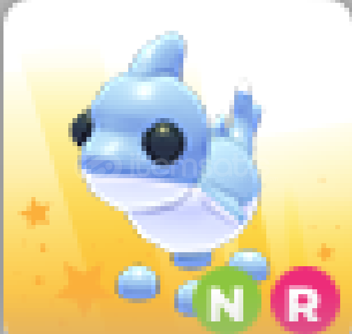 adopt me nr shark pupy adopt me nr shark pupy