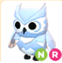 adopt me-nr snow owl