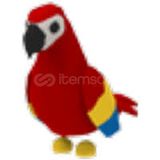 Adopt me parrot